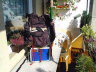 Der SSTV-Rucksack